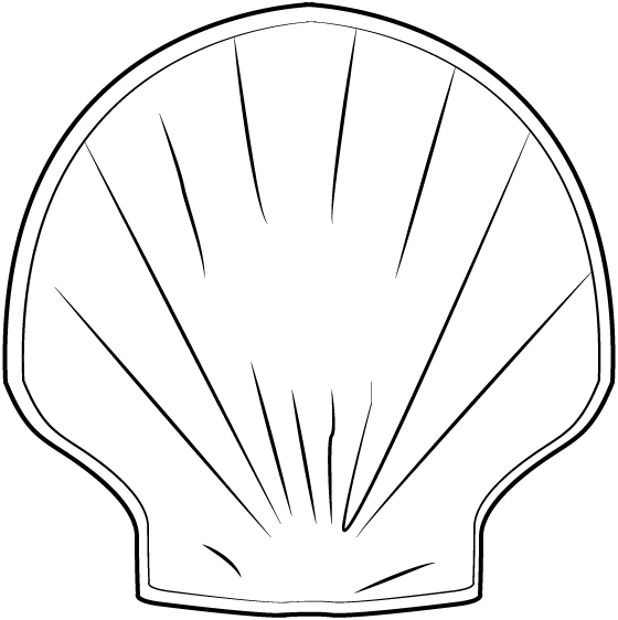 Poinçon coquille — or 585‰ (14 carats)