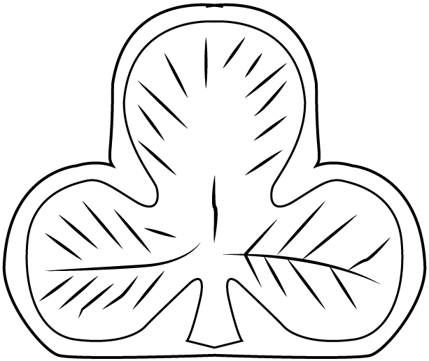 Poinçon trèfle — or 375‰ (9 carats)